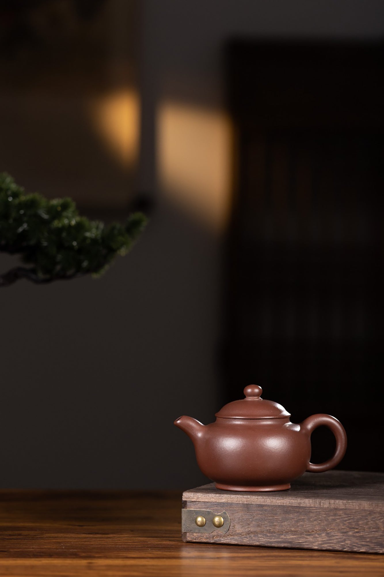 储俊伟 -小潘壶