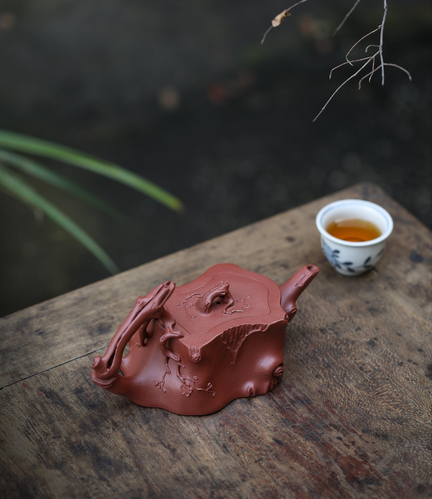 周志昌 -梅