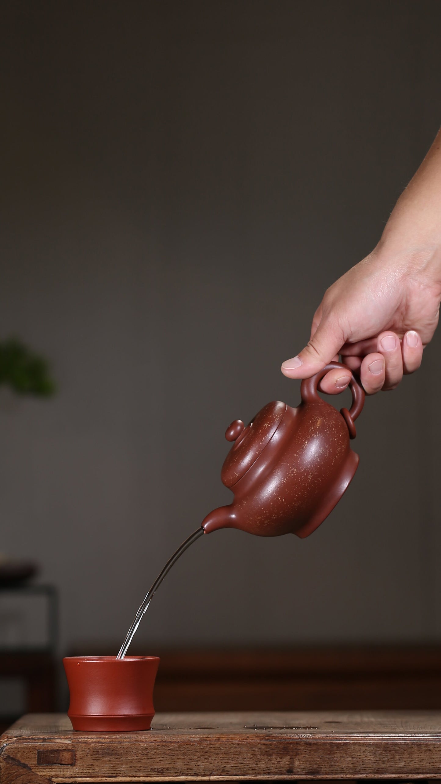 彭耀年-金砂掇福