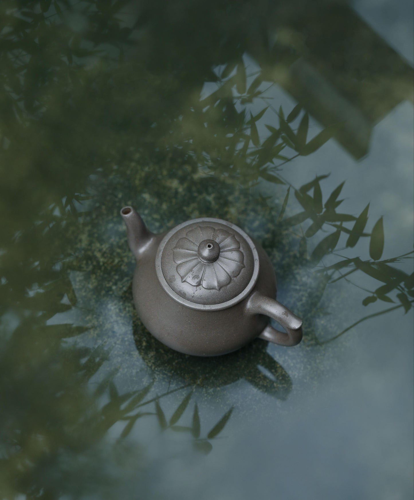 许莲-静悟