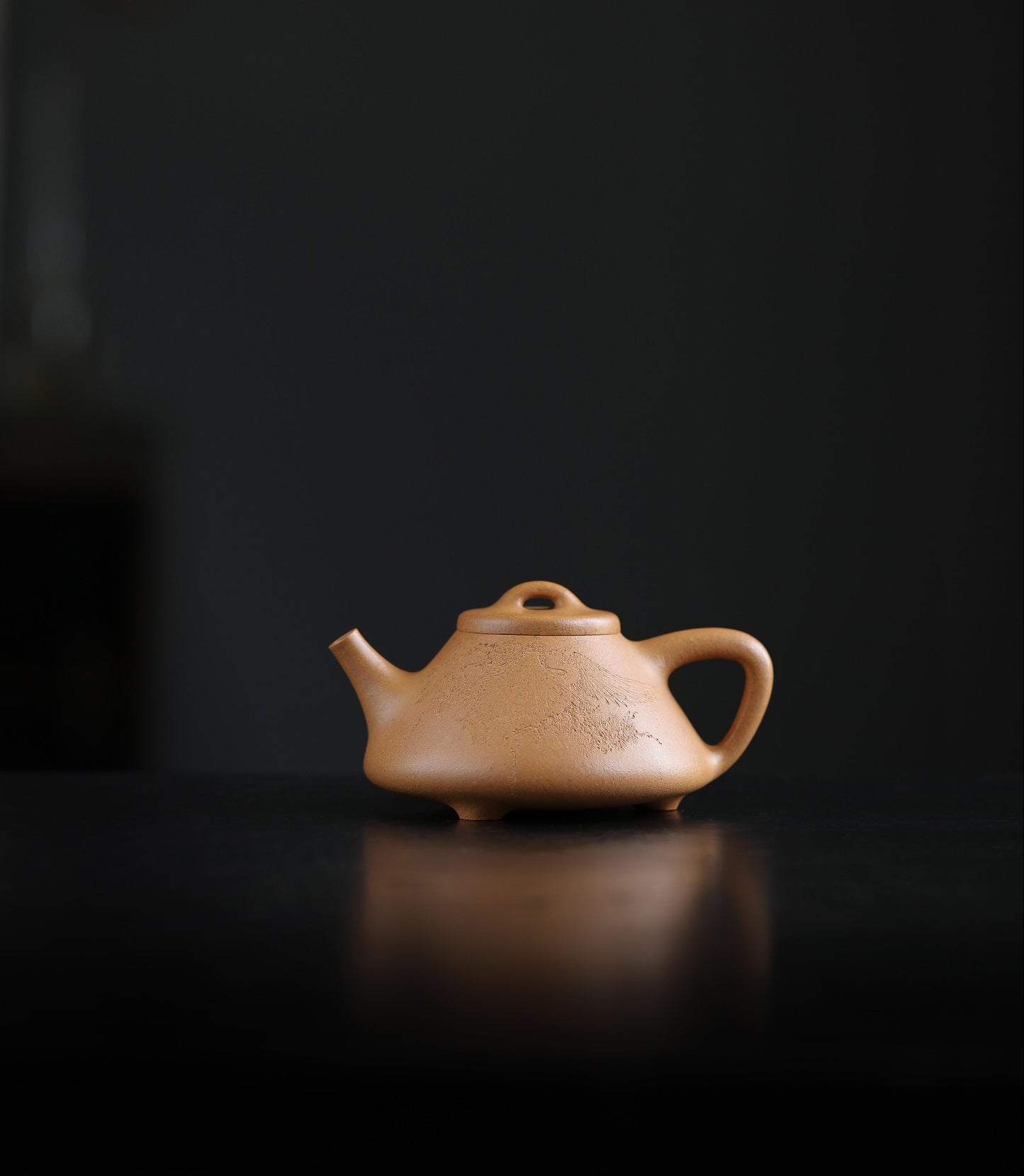 段云飞 石瓢