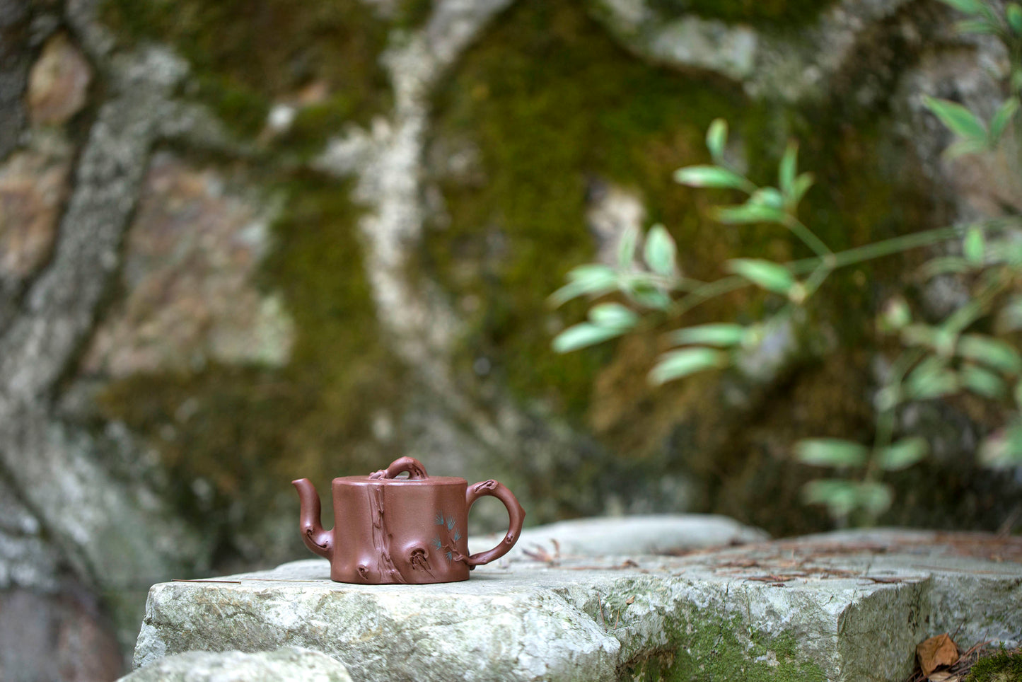 范洪初 -《寒松》