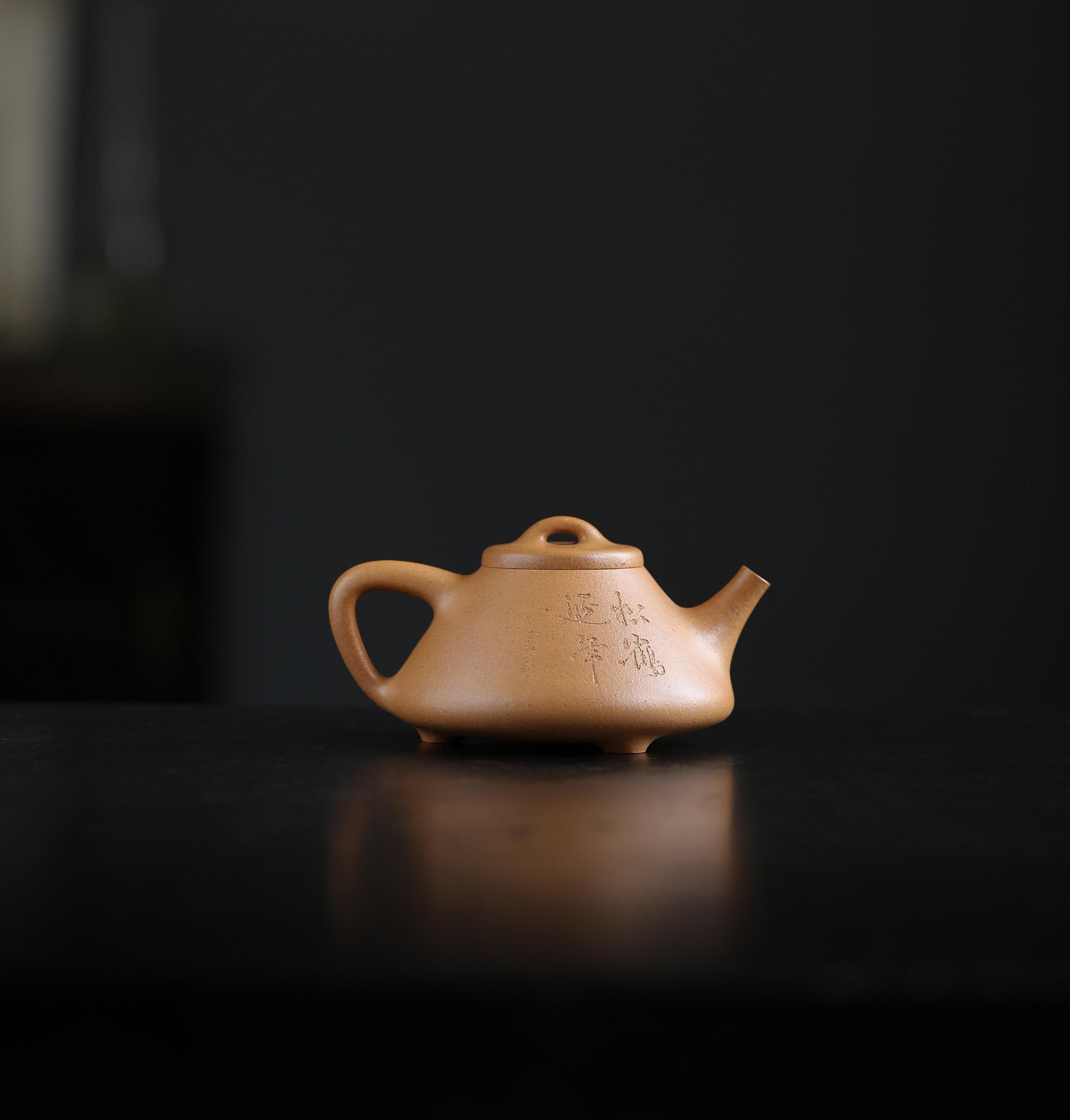 段云飞 石瓢