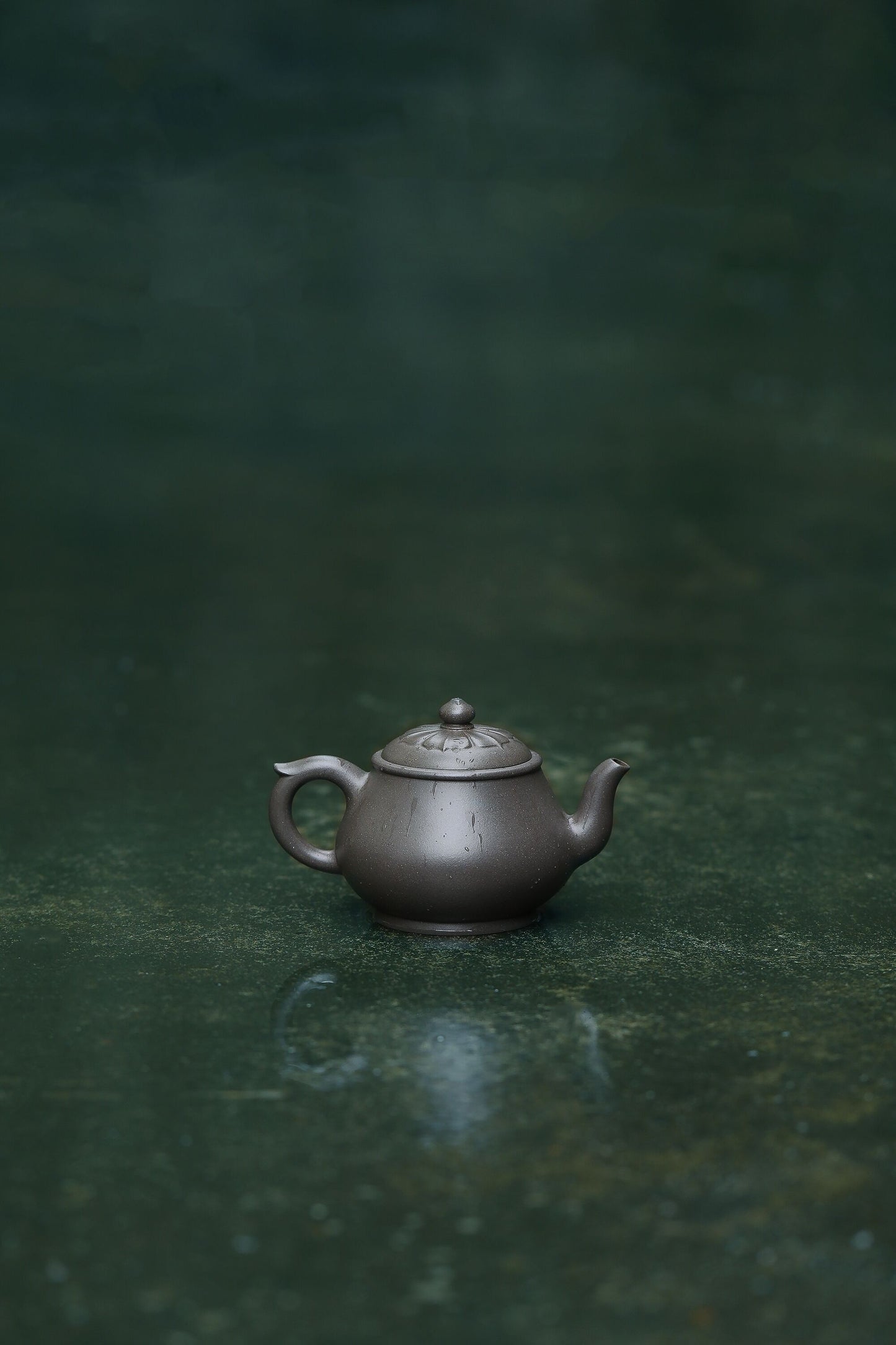 许莲-静悟
