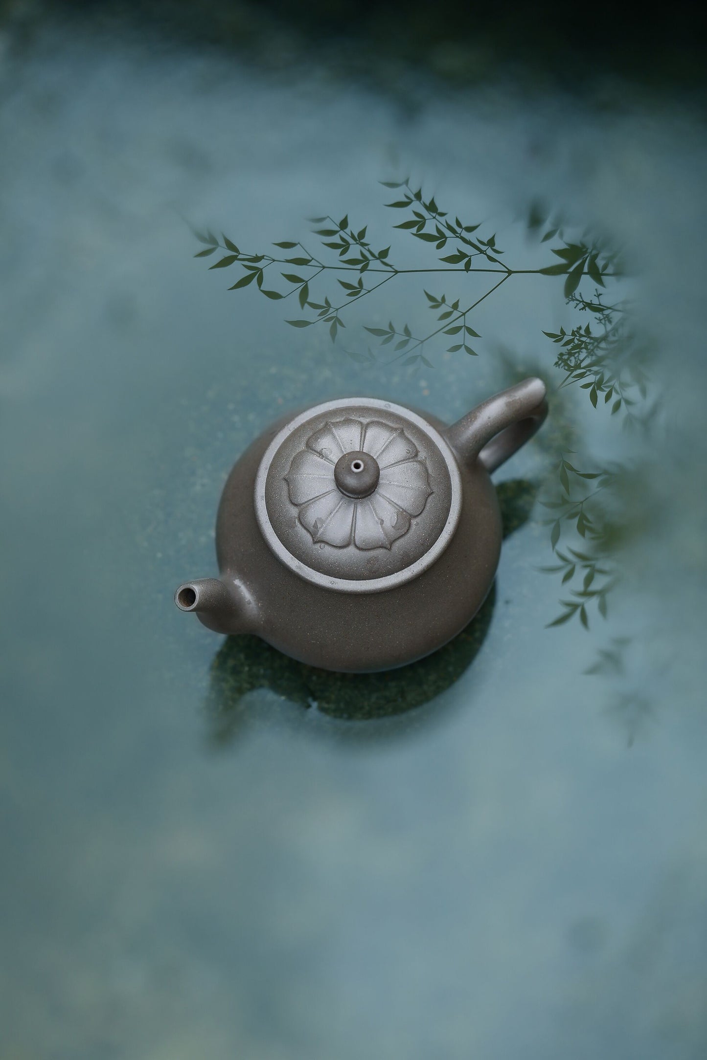 许莲-静悟