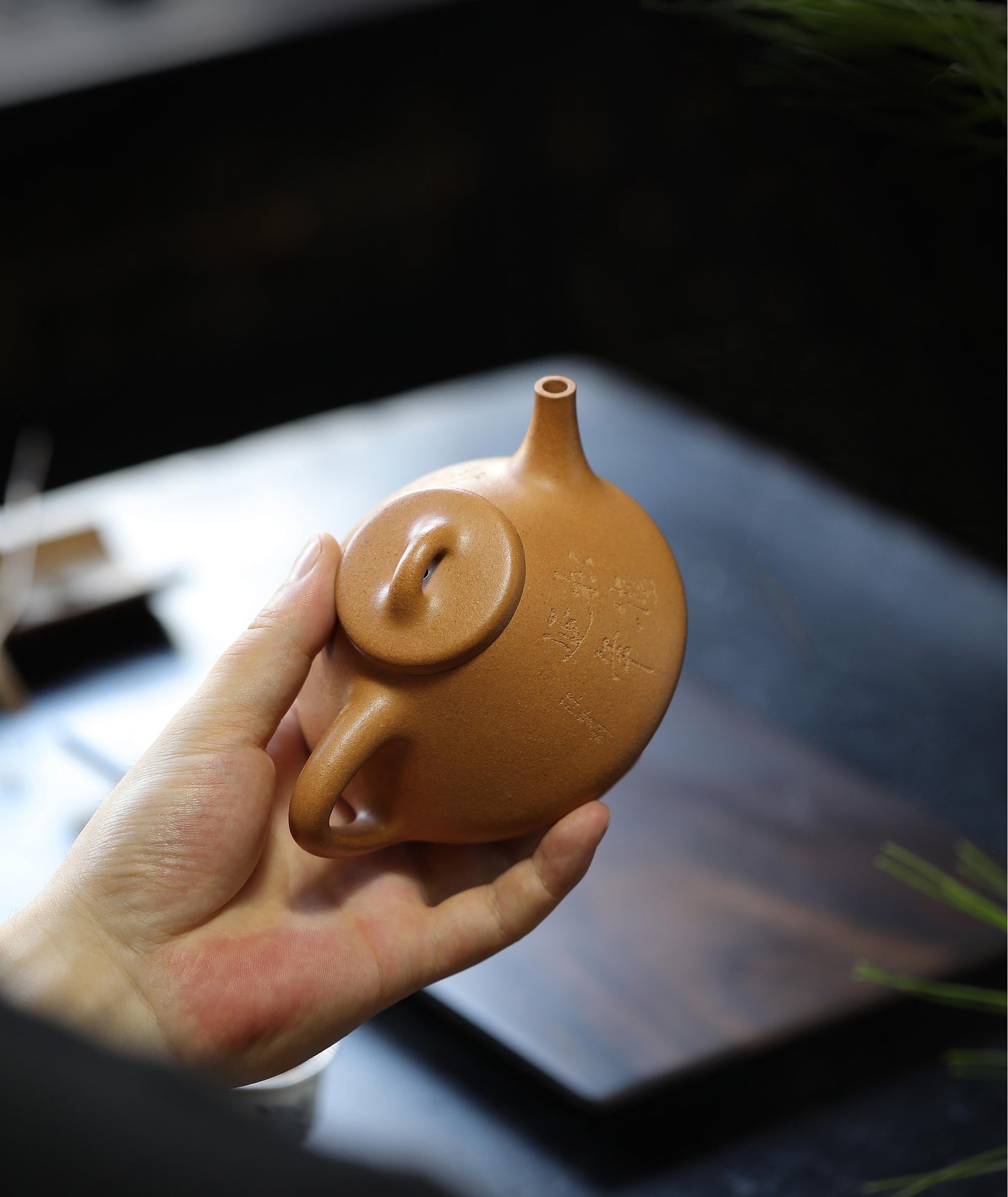 段云飞 石瓢