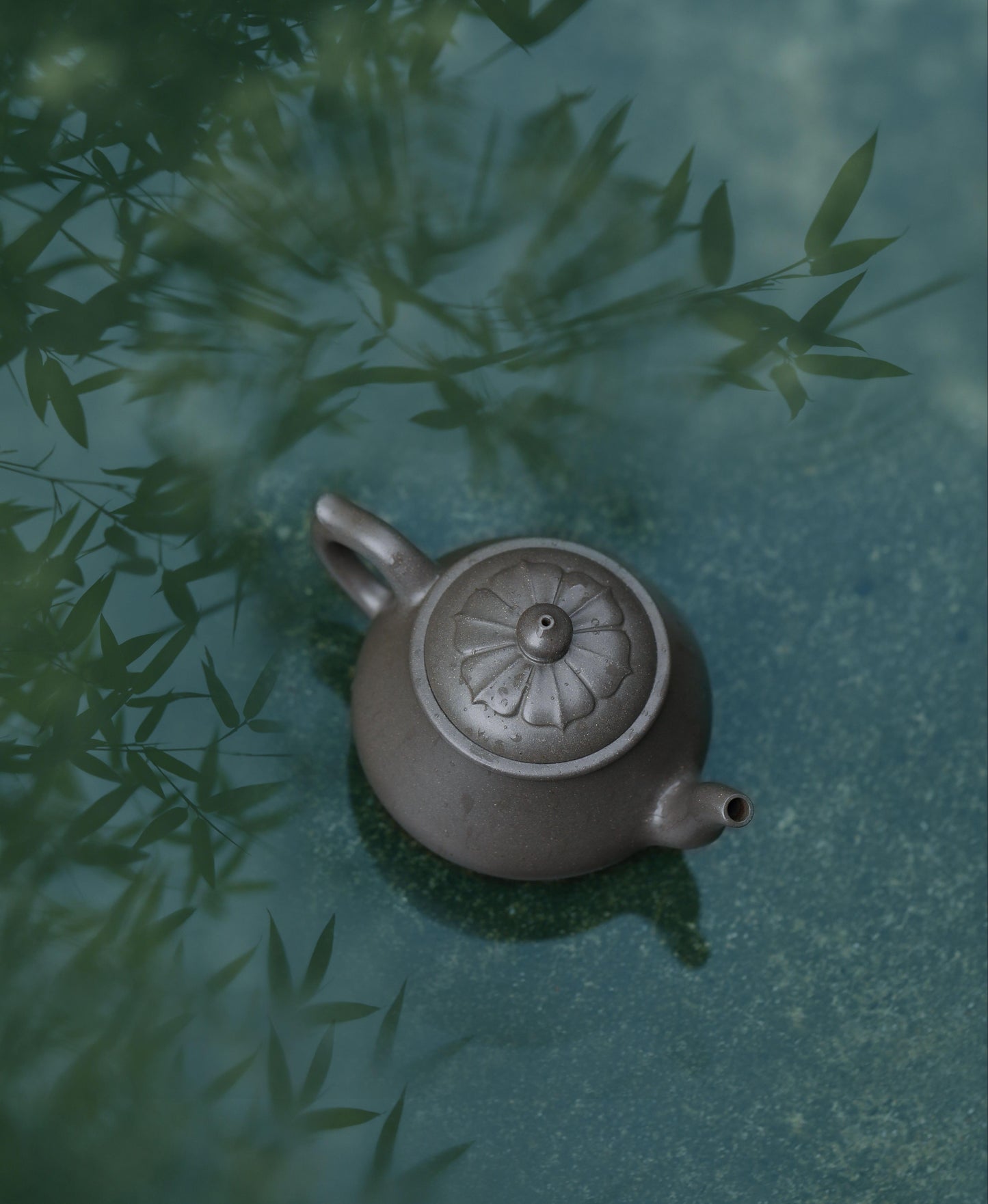许莲-静悟