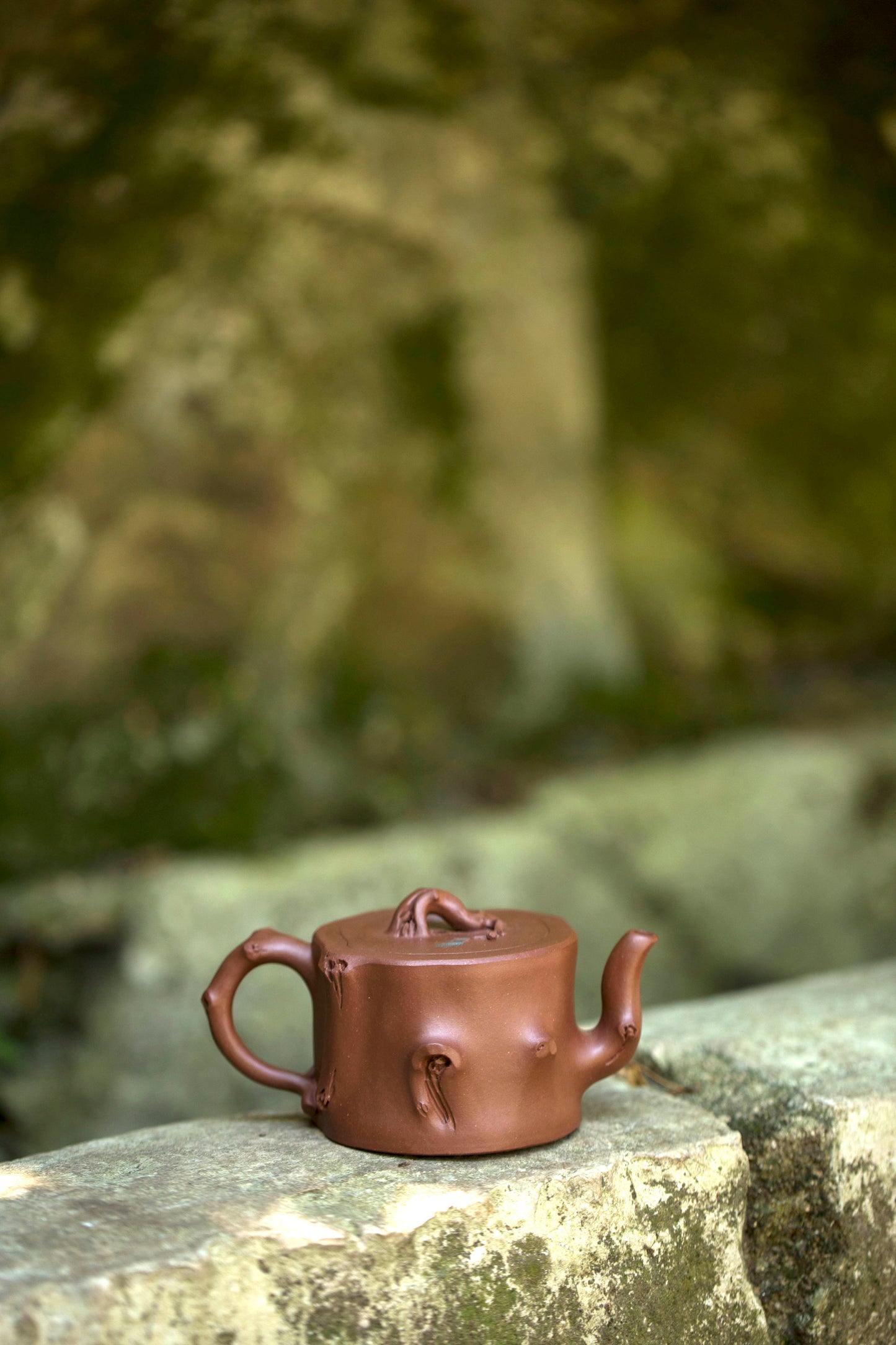 范洪初 -《寒松》