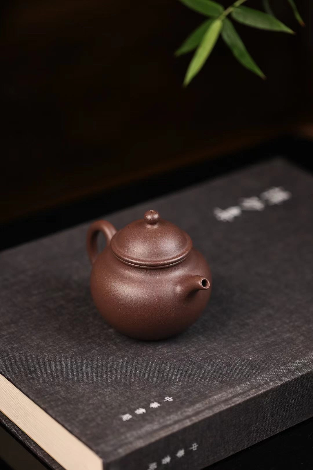 謝浚謙· 掇球