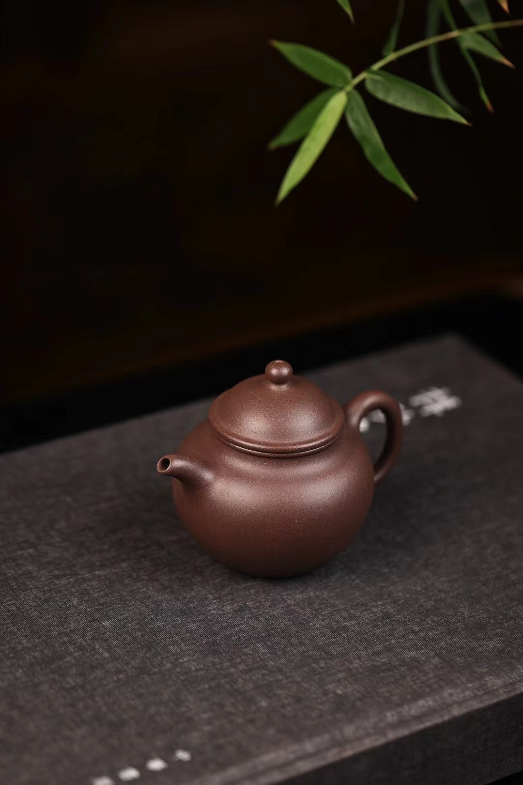 謝浚謙· 掇球